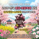 남해군공설운동장 다목적경기장 | 이번 주말 어디 갈까? 2026 전국 봄꽃·벚꽃축제 지도 (3/27~4/5 + 4월 일정 완벽정리)