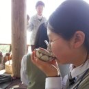 천일각 이미지