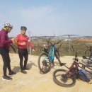 초록산등산로 이미지