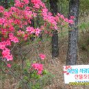 구봉산 가는길 이미지