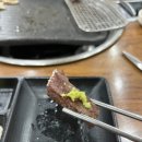 힘찬한우정왕점 네이버블로그