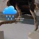 덕원맨션 이미지