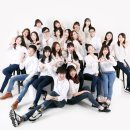 매니아푸드 이미지