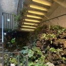 하르방베이커리 | 제주 카페 레크레 | 해안동 신비마을 대형 베이커리 카페 추천 및 후기