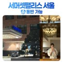 뿡뿡애견호텔 | BTS 콘서트 광화문 인근 숙소로 완벽한 서머셋팰리스 서울
