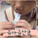 엠아이에이케어 | 베이비유산균 엘포비키즈프로 진짜 바로 응가