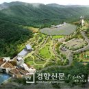 보은메디칼 이미지