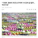 “기재부, 잼버리 파견 요구하며 ‘1시간內 답 달라’…막무가내” 이미지