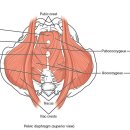 디오필라앤핏 오목교점 이미지