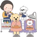 강아지테마미용실 이미지