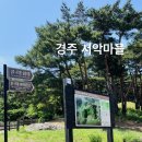 석탑마을 | 경주 서악마을 / 서악동 삼층석탑 방문 후기