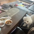 몽실멍실 이미지