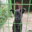 발해모터스 이미지