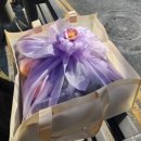 싱싱청과 | [영등포청과시장 싱싱프룻] 남자친구 부모님 첫인사용 과일박스 후기(온누리상품권 가능)