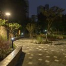 양명초교 이미지