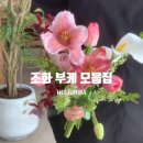 희부케 네이버블로그