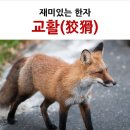 "교(狡)'와 '활(猾)" 한자의 기원 이미지