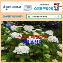 스마트해법수학 - 전주시 완산구 범안1길 36 | 스마트해법수학