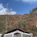 태백 눈꽃 야영장 이미지