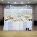 김천축협 | 안동 돌잔치 출장 후기 :) 봉화축협 한우프라자 묵향 대회의실 돌상 상차림 / 바네사 파티