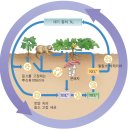 세기비료 이미지