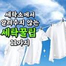 바른세탁소 이미지