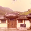 신평리 Daum카페