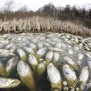 호수로 1046 이미지