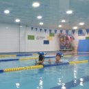 네오키즈스윔 이미지