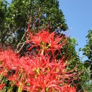 한양전자 이미지