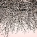 공적 기록의 사적 재해석, 이재갑 사진전 ‘모서리-CORNER’[포토타임] 이미지