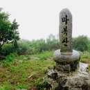 전남 고흥 마복산 우중산행 ( 남구 푸른산악회)
