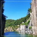 포천 모노레일(주) | 포천 애견동반 가볼만한곳 포천아트밸리 모노레일 강아지 후기