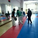 조선태권도장 이미지