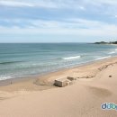 부흥해수욕장 이미지