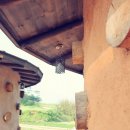 5월펜션 이미지