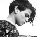 꽃잎들