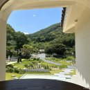 [경주 카페] 산내그로브 방문 후기(인생샷 건지고 싶으면 여기로, 차필수!)