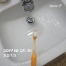 [취준일기18] 면접의 고수 갓생챌린지 10기 내돈내산 참여 후기 I 3주동안 갓생 산 후기@