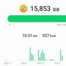 일번가세차장 | [전남]캠핑카 타고 결기에 여수 여행^_^