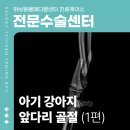 마석동물병원 네이버블로그