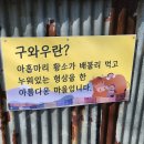 구와우순두부 이미지