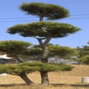 우송농장 이미지