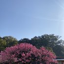 당구칠래 | 여자 혼자서 후쿠오카 여행 2일차 (여행한그릇 유후인 패키지, 모츠나베 1인분, 하카타 근처 마트 탐험)