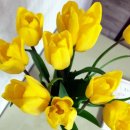 화림농장 이미지