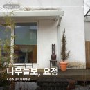 나무늘보,요정 네이버블로그