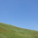 외길목장 이미지