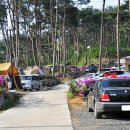 무창포솔원캠핑장 이미지