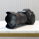 나은중고 | 캐논 EF 24-70mm F2.8 L II USM(신계륵) 중고 구입 후기, 아직도 명품 표준줌일까? 작례 사진