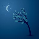 개밥바라기별 이미지